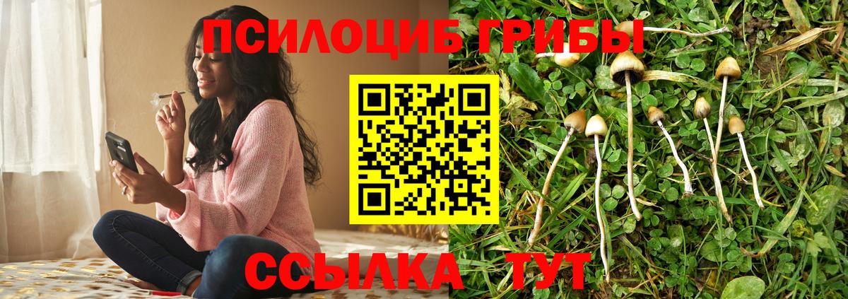 Галлюциногенные грибы GOLDEN TEACHER Новороссийск
